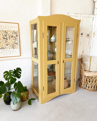 Double door display cabinet