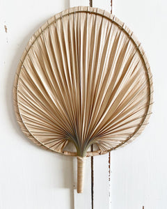 Fan - palm leaf
